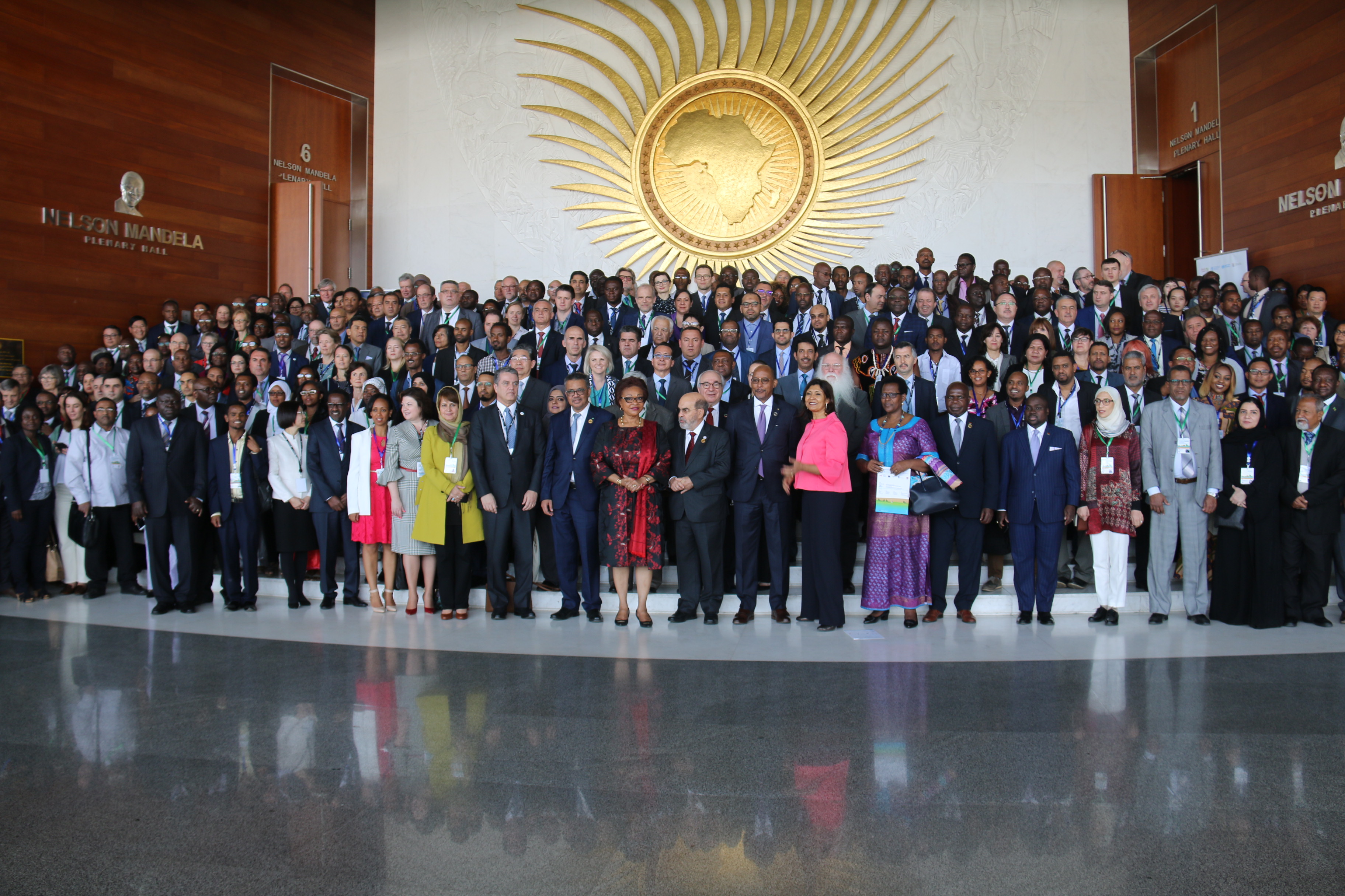 Participants of the First FAO/WHO/AU International Food Safety Conference