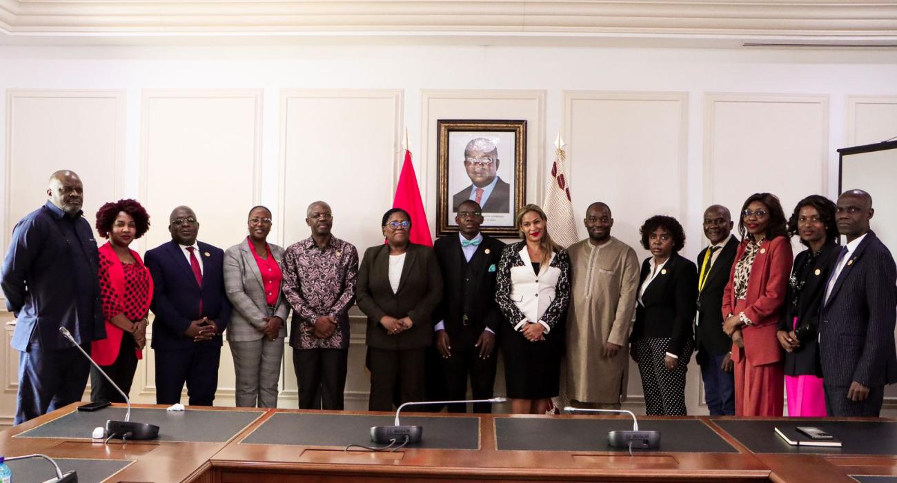 WHO Experts with Angolans MPs