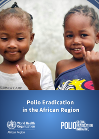 Highlights of the polio eradication efforts in the African Region (January - October 2024).