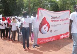 Voluntary groups in Parade