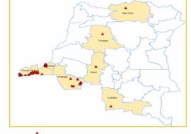 Poursuite de la campagne de vaccination préventive dans 47 zones de santé dont 32 à Kinshasa et 15 frontalières avec l’Angola : les résultats préliminaires donnent 86,9% à Kinshasa (J7), 46% au Kongo Central (J6), 35% au Kasaï Central (J2), 25% au Kasaï (J2), 24% à Lualaba (J4) et 15% au Kwango (J5). Il est à noter qu’à part Kinshasa, les complétudes sont encore faibles dans les autres provinces. Selon le rapport du comité de validation et classification des données de l’épidémie de la fièvre jaune en RDC, 