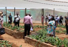 Guidance and Counselling teacher explaining elevatated vegetable garden plots