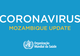 COVID-19 Mozambique Updates