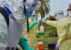 No link between two ongoing Ebola outbreaks in the Democratic Republic of the Congo