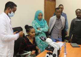 WHO Intervenes to Control Cutaneous Leishmaniasis Outbreak in Somali Region Through Health Worker Capacity Building