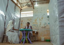 Bridging Gaps in Health and Nutrition Services for IDPs and Crisis-Affected Communities in Amhara, Ethiopia