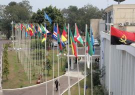 Election of new WHO Regional Director for Africa: candidates’ forum