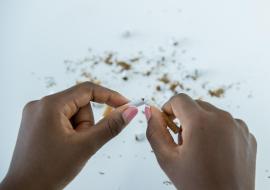 Mauritius intensifies efforts to combat tobacco epidemic 