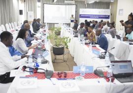 WHO discusses Mpox and Marburg cross border interventions in African region