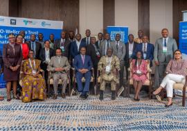 African health ministers, delegates adopt declaration on climate change and health