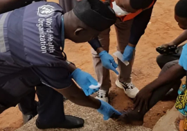  WHO staff, the local health workers collect sample (swap) from the wound for laboratory testing