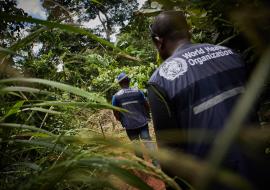 Democratic Republic of the Congo deepens investigation on cluster of illness and community deaths in Equateur province 