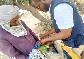 Nigeria fight Against Poliovirus in High Risk communities