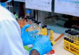 La République Démocratique du Congo renforce la réponse à l'épidémie du charbon 