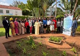 Fortalecimento do Financiamento da Saúde nos Países Africanos de Língua Portuguesa