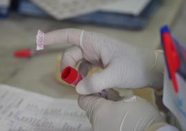 African health ministers call for urgent action as progress against malaria stalls