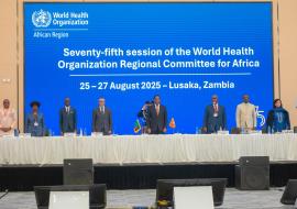 Health leaders, partners pledge to catalyse Africa’s production of medicines and vaccines