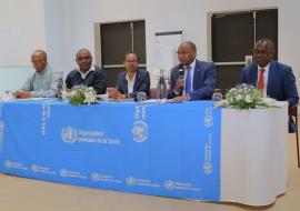 Mot d'ouverture du Représentant de l'OMS