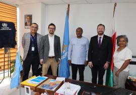 Equipes OMS et Carter Center