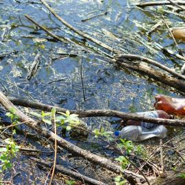 Neglected Tropical Diseases