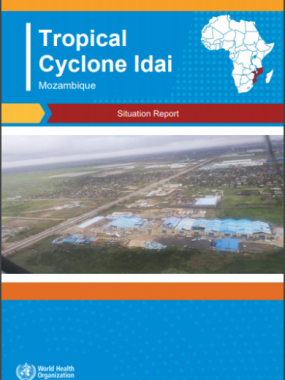 Cyclone Idai Mozambique Situation Report
