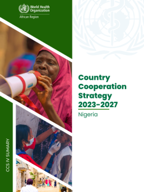 Country Cooperation Strategy 2023-2027 Nigeria - Summary
