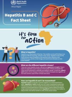 Hepatitis B and C Fact Sheet