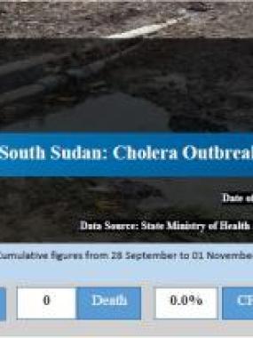 South Sudan: Cholera Outbreak Situation Report