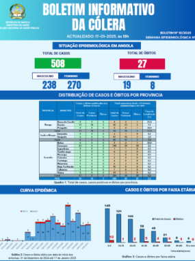 Boletim de Cólera 2024 Nº 10