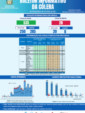 Boletim de Cólera 2024 Nº 11