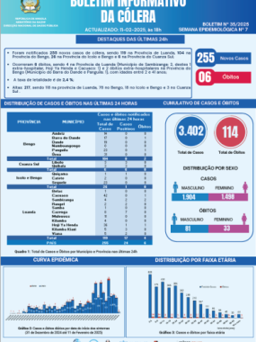 Boletim de Cólera 2025 Nº 35
