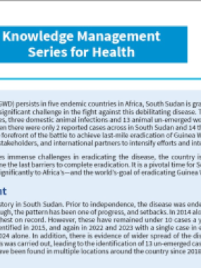  South Sudan: Knowledge Management Series for Health 2025