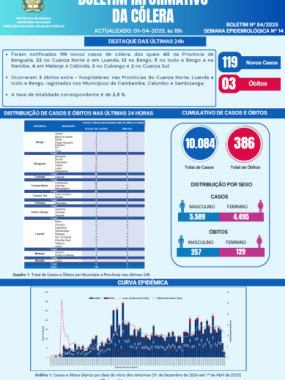 Boletim de Cólera 2025 Nº 84