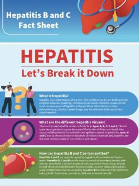 Hepatitis B and C Fact Sheet - 2025