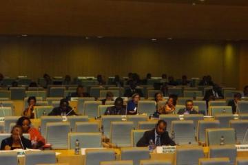 Experts Meeting during the 6th Conference of African Ministers of Health, 22 April 2013