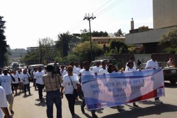 Partial view of participants at WHD2016 mass walk