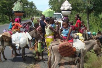 Nomads traversing through Jos, Plateau state