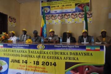 L-R: Dr Samuel Okiror, WHO Horn of Africa Polio Coordinator, WHO; Dr Pierre M’Pele-Kilebou, WHO Representative to Ethiopia; Dr Kebede Worku, State Minister of Health; Mr Ali Abdullahi, Governor of Somaliland; Mr Abdufatah Mohammed Hassen, Vice President of Ethiopia’s Somali Regional State and Head of the Somali Regional Health Bureau; Mr Muhyadin Abdi, Mayor of Togwajale.