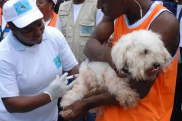 WHO calls on countries to eliminate rabies