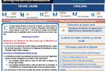 Ce bulletin spécial présente un résumé de la réponse du secteur santé aux flambées de Fièvre Jaune et de Choléra en République Démocratique du Congo jusqu’au 30 juin 2016. Il met surtout en exergue les principales actions réalisées par les partenaires dans les zones affectées par ces deux maladies.