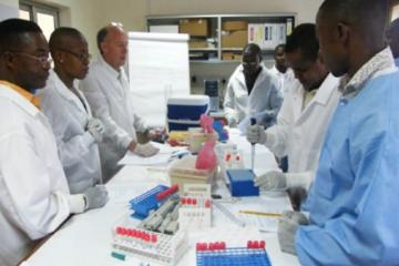 Laboratory practice - Yellow Fever IgM assay