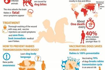 WHO joins international calls to invest more in defeating human rabies transmitted by dogs