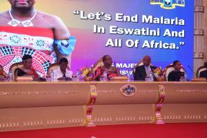His Majesty King Mswati III and other diginitaries