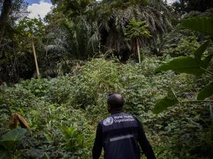 Resurgence of Ebola in North Kivu in the Democratic Republic of the Congo