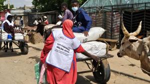 Distribution des MILDA à Maradi