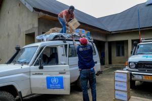 WHO actively responds to anthrax epidemic in the DRC