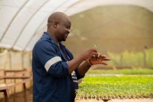 Sowing seeds of change: Supporting farmers to grow beyond tobacco