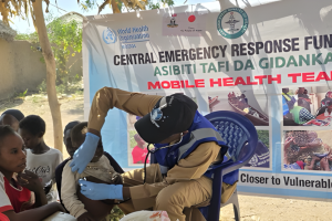 A doctor on the mobile clinic providing access to health services in Adamawa State