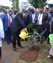 DG waters a tree after he planted it at Kiambu County Hospital in memory of his visit