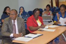 Dr L. Musango, WHO Representative in Mauritius and key stakeholders participating in the validation workshop